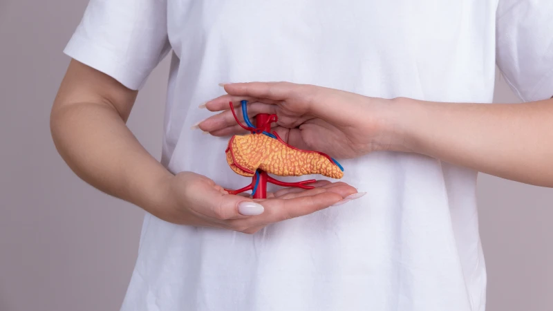 Regulacija Nivoa Šećera u Krvi: Uloga Insulina i Značaj Prevencije 3 U pankreasu (gušterači) se nalazi nekoliko hiljada malenih, rasutih grupa ćelija koje se nazivaju Langerhansova ostrvca.