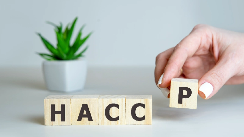 HACCP standard u proizvodnji suplemenata – kockice sa slovima HACCP koje simbolizuju kontrolu bezbednosti hrane.