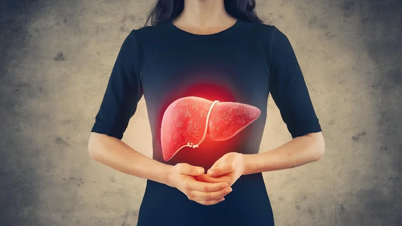 Ilustracija ljudske jetre u predelu stomaka sa crvenim naglaskom koji simbolizuje detoksikaciju organizma i važnu ulogu jetre u prolećnom čišćenju tela