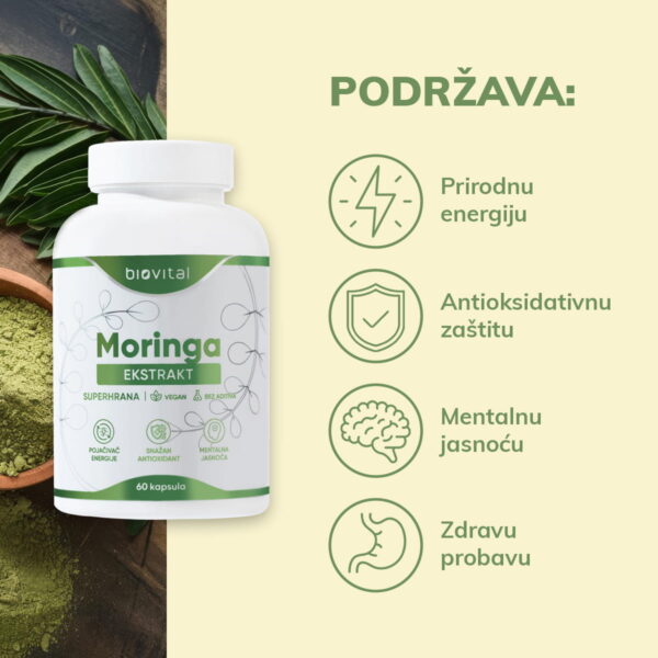 moringa_podržava Za šta je dobro moringa;