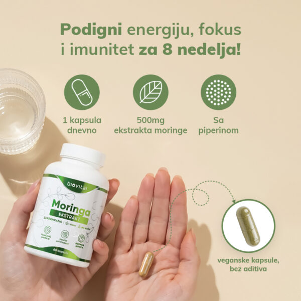 Moringa-benefiti Biovital Moringa Ekstrakt sa 500 mg ekstrakta moringe i piperinom, veganske kapsule bez aditiva za podršku energiji, fokusu i imunitetu tokom 8 nedelja