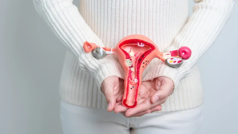Žena drži model ženskog reproduktivnog sistema, ilustracija teme PMOS i promena naziva sindroma policističnih jajnika (PCOS), sa fokusom na hormone, reproduktivno zdravlje i menstrualni ciklus.