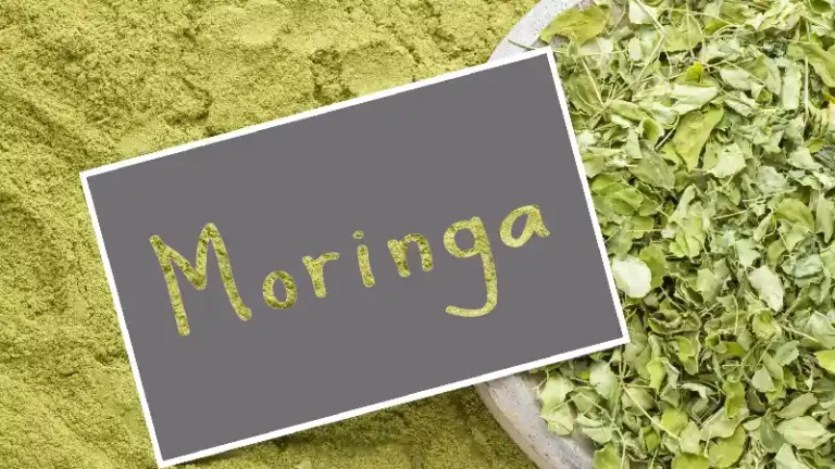Moringa ekstrakt i listovi moringe, prirodni biljni sastojak bogat nutrijentima koji se koristi za podršku energiji, imunitetu i opštem zdravlju organizma.
