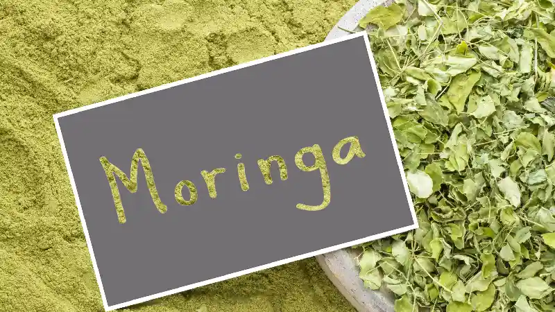 Moringa ekstrakt: šta je moringa i zašto je zovu „drvo života”? 1 Moringa ekstrakt i listovi moringe, prirodni biljni sastojak bogat nutrijentima koji se koristi za podršku energiji, imunitetu i opštem zdravlju organizma.