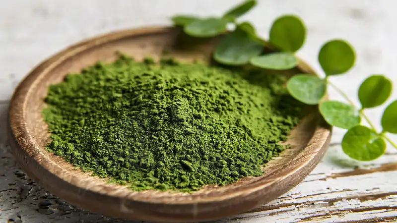 Moringa kapsule sa ekstraktom na gomili zelenog praha moringe u drvenoj posudi sa listovima